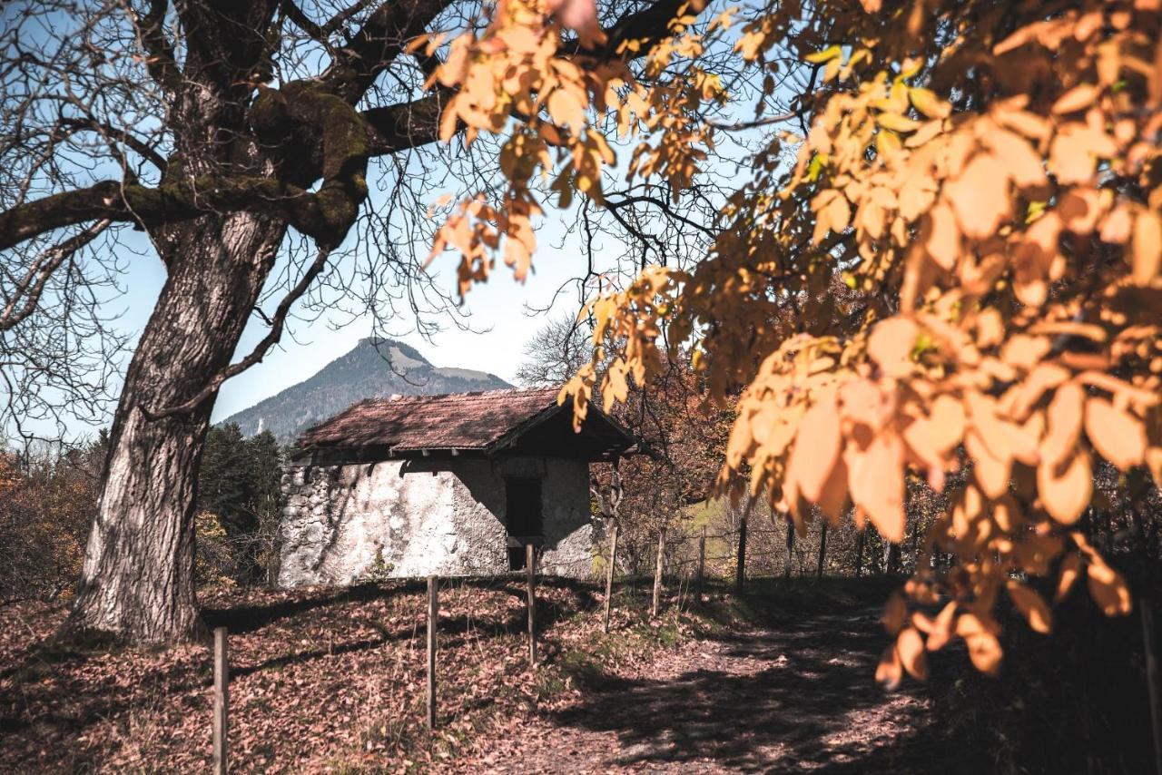 Your Home - City Apartment In Kufstein Buitenkant foto